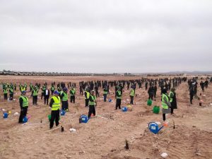 Programmes nationaux de lutte contre la désertification : L’environnement et l’économie vont de pair
