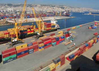 Promotion des exportations hors hydrocarbures : Les opérateurs économiques adhèrent aux efforts de l'Etat