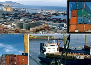 Promotion des exportations hors hydrocarbures : Les grands axes de la stratégie du gouvernement