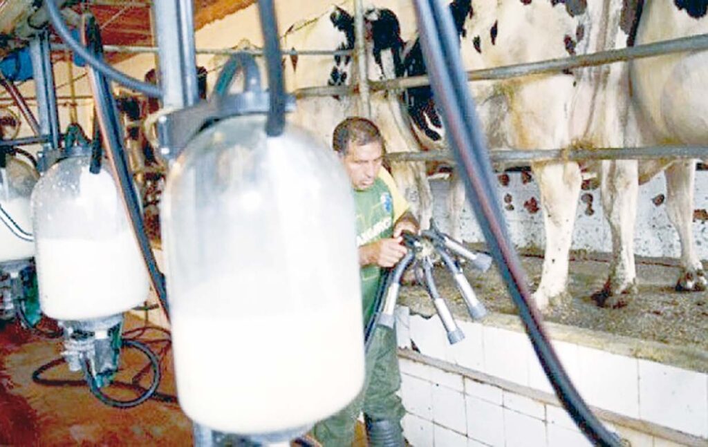 En dépit d’un soutient direct de l’Etat de 800 milliards DA entre 2009-2023 : La filière lait peine à décoller