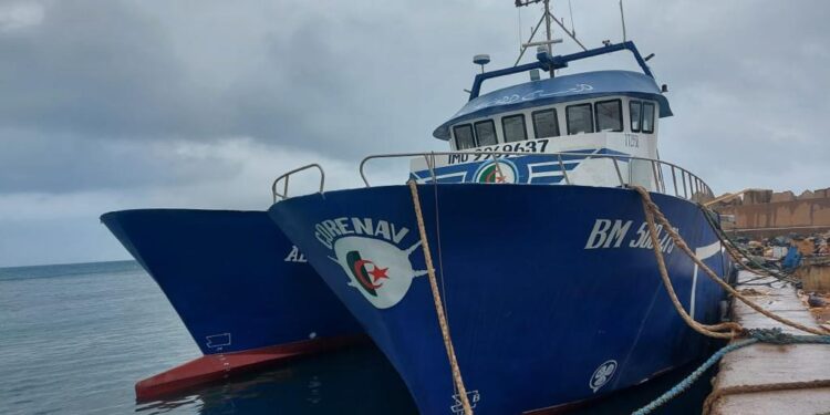 Pêche : Cherfa préside une réunion avec les armateurs et les professionnels de la grande pêche