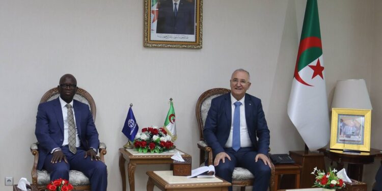 Banque mondiale : L’Algérie est «en train de progresser de manière tout à fait positive»
