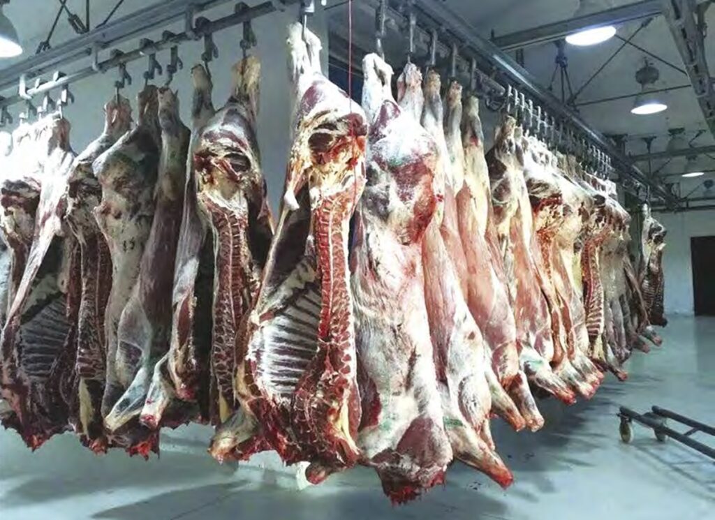 Préparatifs pour le mois de Ramadhan : Programme exceptionnel pour l'importation de viandes rouges et blanches
