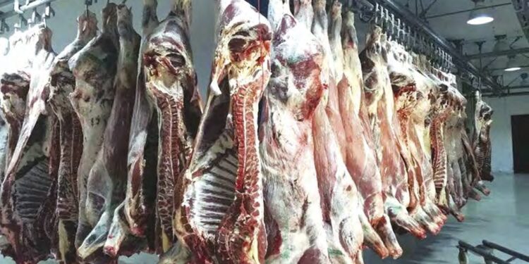 Préparatifs pour le mois de Ramadhan : Programme exceptionnel pour l'importation de viandes rouges et blanches