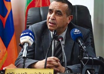 Le Président directeur général (Pdg) de Sonelgaz, Mourad Adjal