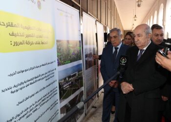 Modernisation d’Alger : Un supplément d’âme pour la capitale