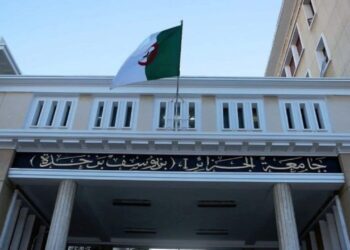 L’université d’Alger 1 au cœur de l’innovation : 50 start-up et 16 brevets en deux ans