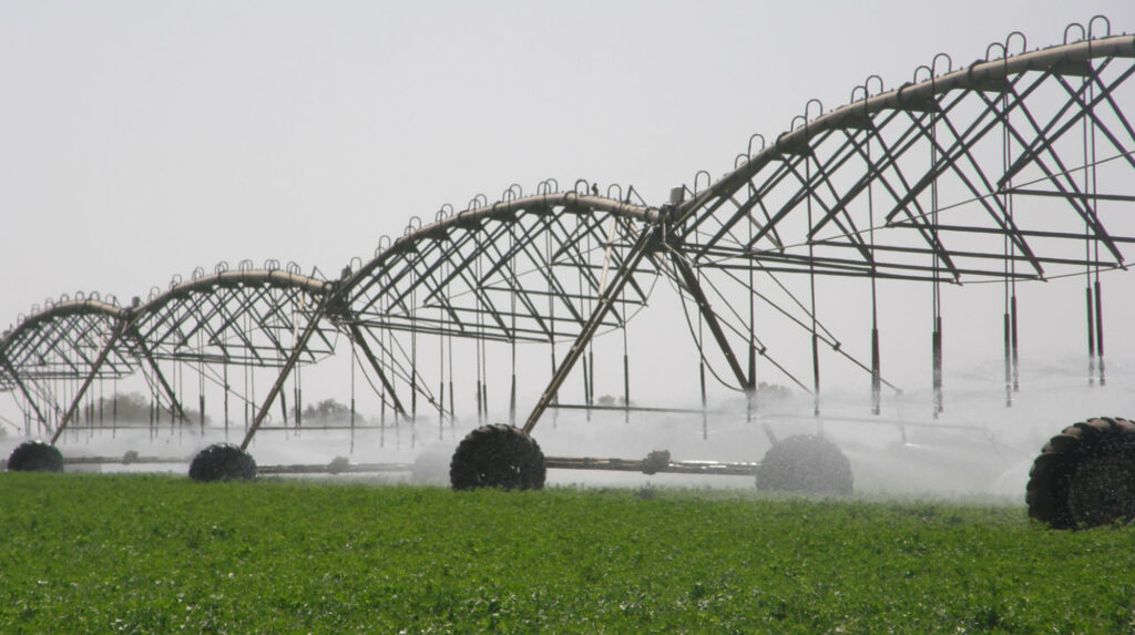 La superficie irriguée sera portée à 3 millions ha d’ici 2028 : L’autosuffisance alimentaire en point de mire