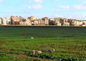Régulation du foncier agricole : Le ministère de l’agriculture passe à l’action