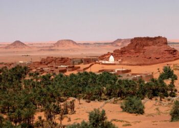Timimoun : Intenses efforts pour assurer la réussite de la saison du tourisme saharien