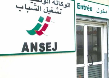 11 milliards de DA recouvrés en 2023 et 2024 : L’assainissement de l’ex-Ansej se poursuit