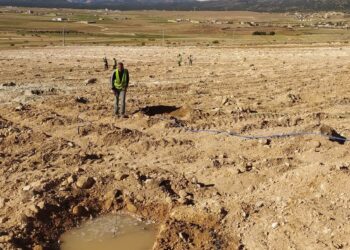 Sétif : Remise de près de 18.000 cartes professionnelles numériques à des agriculteurs en 2024