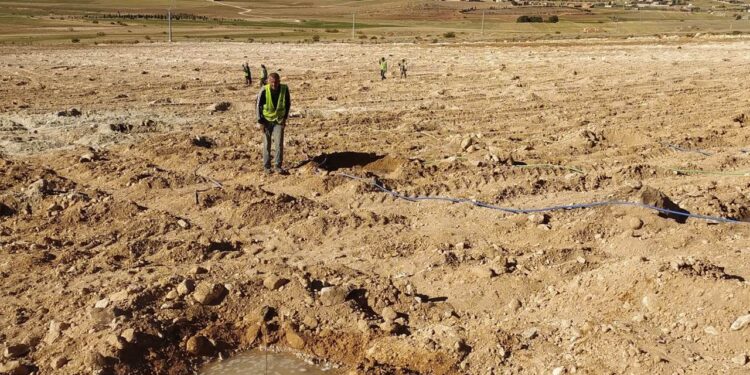 Sétif : Remise de près de 18.000 cartes professionnelles numériques à des agriculteurs en 2024