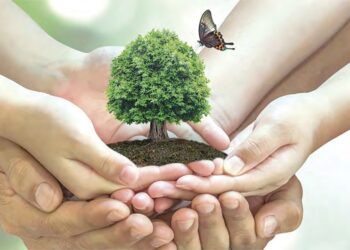 L’école et l’éducation environnementale : Un supplément d’âme à la culture de la citoyenneté