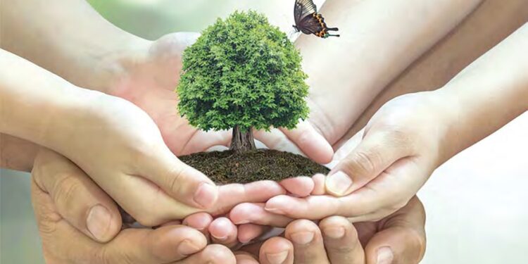 L’école et l’éducation environnementale : Un supplément d’âme à la culture de la citoyenneté