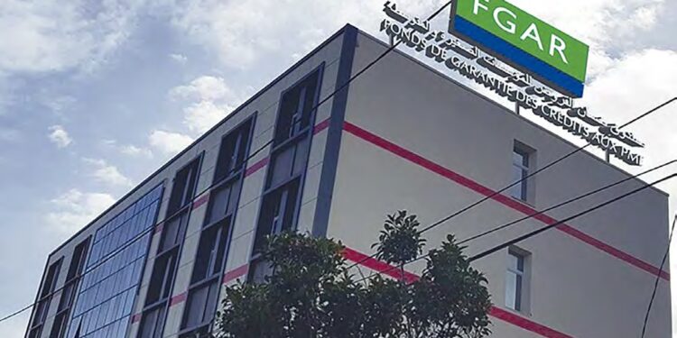 PME : Le FGAR a accompagné plus de 380 projets en 2024