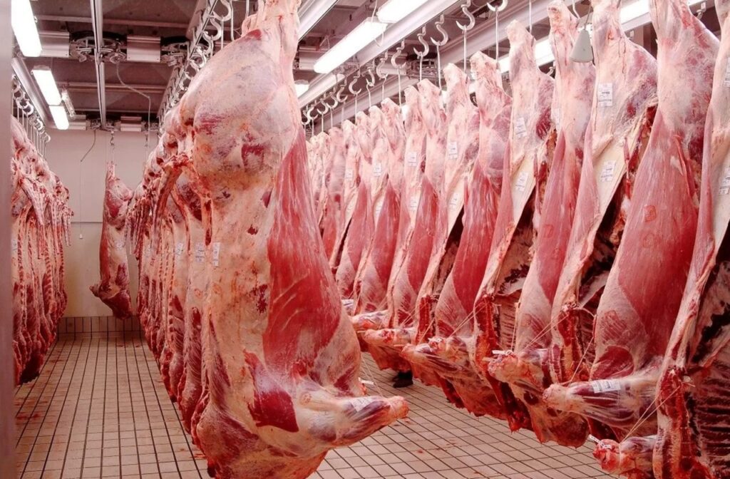 Laghouat : L’importance de promouvoir la filière des viandes rouges soulignée