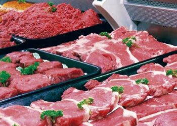 Relance de la filière des viandes rouges : Plusieurs défis à relever