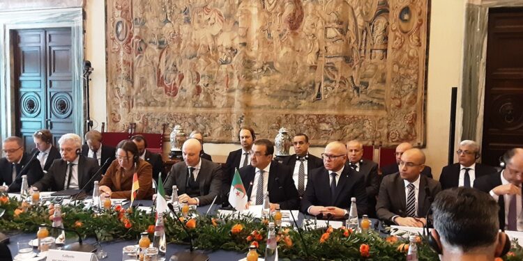 Arkab s’entretien avec à Rome avec la Pdg de l’italienne «ZHERO» : Intérêt particulier pour le projet «Medlink»