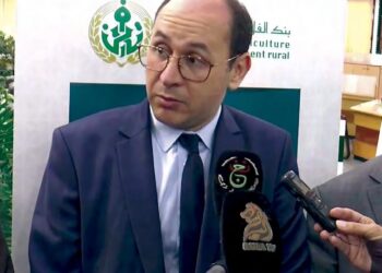 Mohand Bourai, directeur général de la banque de l'agriculture et du développement rural (BADR) et président de l’association professionnelle des banques et établissements financiers (ABEF)