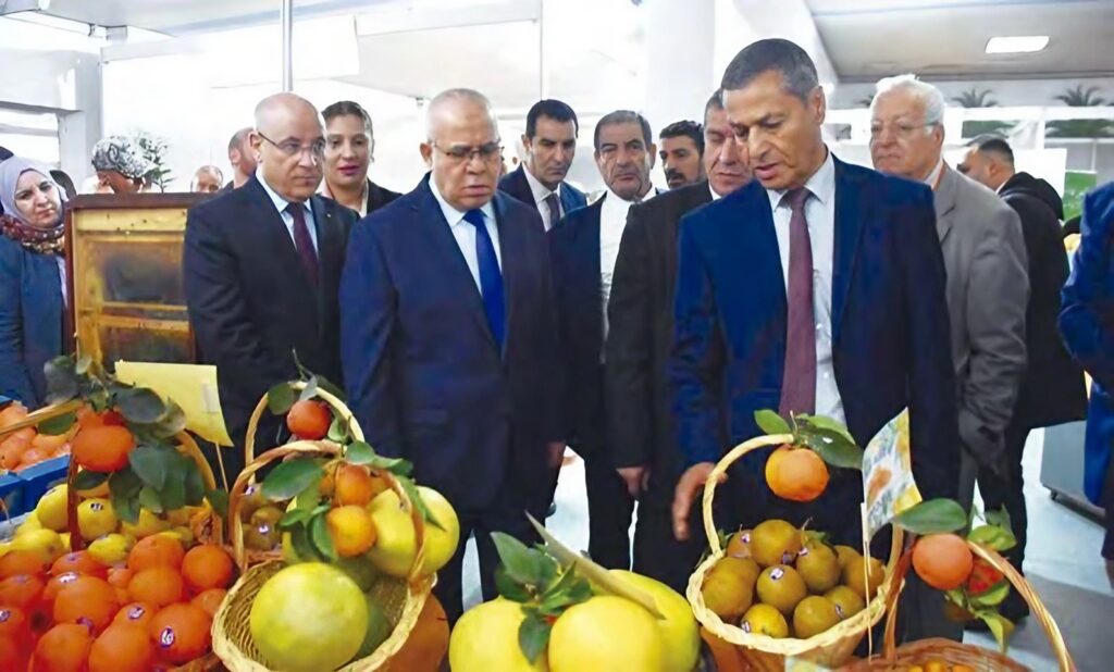 Tipasa : Production prévisionnelle de 1,8 millions qx d'agrumes durant la présente campagne
