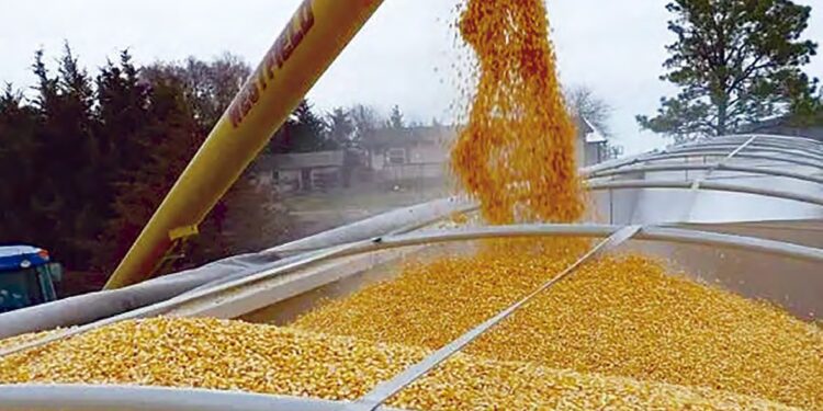 Production de céréales