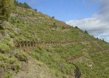 Restauration des terres de montagne (RTM) : Le challenge d’un développement bien négocié