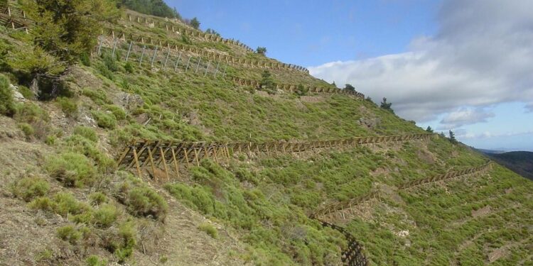 Restauration des terres de montagne (RTM) : Le challenge d’un développement bien négocié