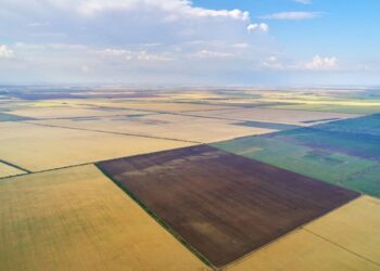 L’indivision du foncier agricole : Atout ou frein au développement agricole ?