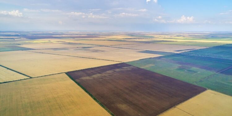 L’indivision du foncier agricole : Atout ou frein au développement agricole ?