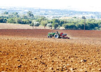 Assainissement du foncier agricole : Le dossier sera clos avant la fin 2025