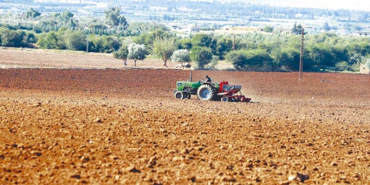 Assainissement du foncier agricole : Le dossier sera clos avant la fin 2025