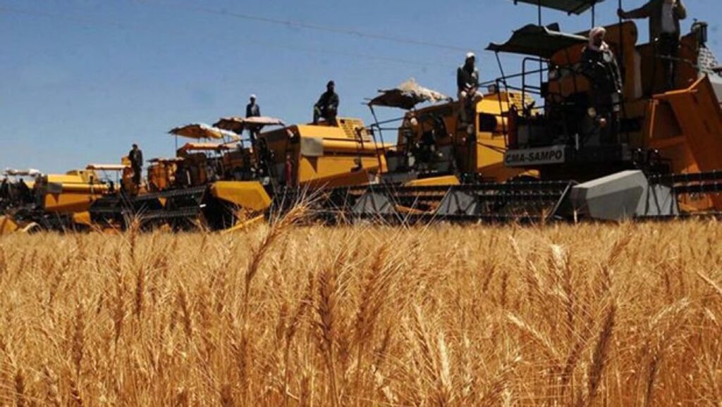 Cultures stratégiques : L’Algérie dispose des moyens d’assurer sa sécurité alimentaire