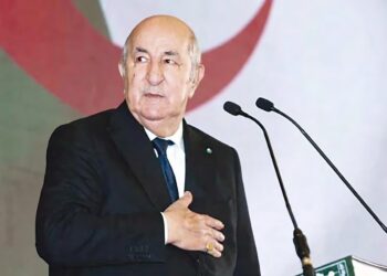 Amélioration de l’image de l’Algérie à l’international : Le renforcement de la diplomatie économique recommandé