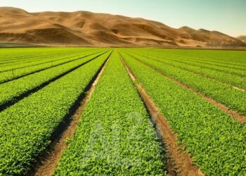 Points forts et faibles de l’agriculture algérienne