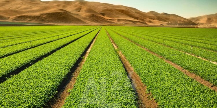 Points forts et faibles de l’agriculture algérienne