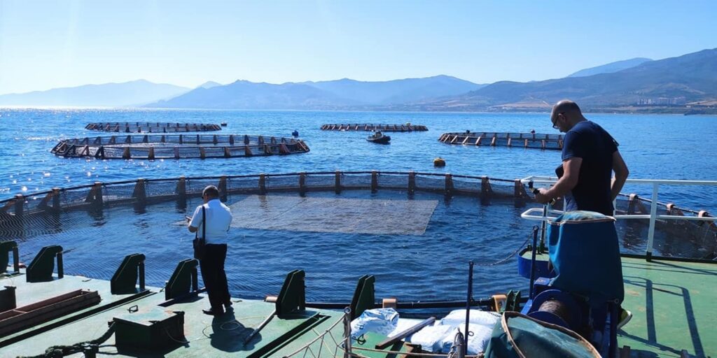 21 projets de fermes aquacoles agréés depuis début 2024