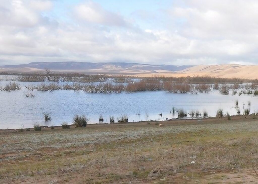 Les zones humides de Biskra : Une plateforme de biodiversité pour un système durable