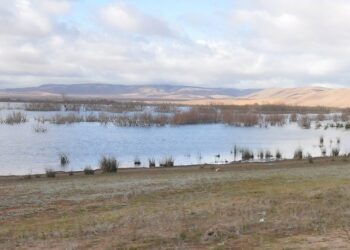 Les zones humides de Biskra : Une plateforme de biodiversité pour un système durable