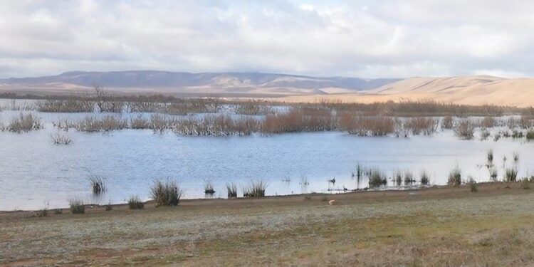 Les zones humides de Biskra : Une plateforme de biodiversité pour un système durable