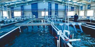 Littoral algérien : 110 concessions pour la création de fermes aquacoles attribuées
