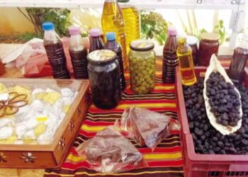 Fête de l’olivier à Tizi-Ouzou : L’oléiculture un atout économique et un héritage patrimonial à promouvoir