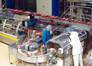 Industrie agroalimentaire : Un segment économique plein de promesses