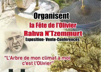 Fête de l'olivier : Ce sera du 22 au 25 février à Tizi-Ouzou