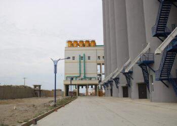 Stockage de céréales : 250 millions DA pour réaliser un centre de proximité à Bazoul