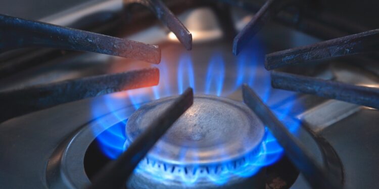 Vague de froid glacial aux Etats-Unis : Les prix du gaz s’envolent