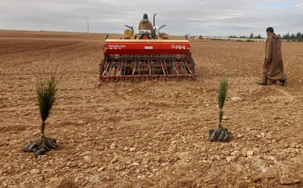 Assainissement du foncier agricole : Un des leviers majeurs de la sécurité alimentaire