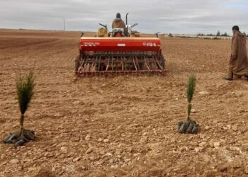 Assainissement du foncier agricole : Un des leviers majeurs de la sécurité alimentaire