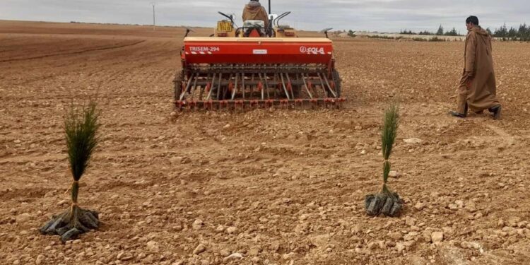 Assainissement du foncier agricole : Un des leviers majeurs de la sécurité alimentaire