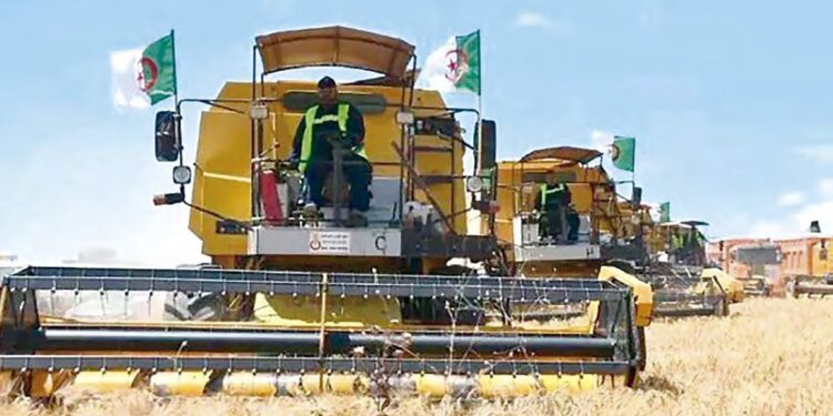 campagne de moisson-battage